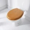 Addis Wood Finish Toilet Seat -Chic Household Items 332126 addis wood finish toilet seat oak