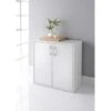Lokken 2 Door Cupboard -Chic Household Items 333080 2 door cupbard with shelves closed