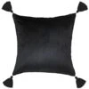 B&M Ariana Velvet Cushion -Chic Household Items 367560 ariana velvet cushion
