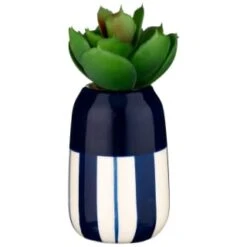 B&M Small Succulent -Chic Household Items 380107 small succulent 5