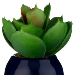 B&M Small Succulent -Chic Household Items 380107 small succulent 6