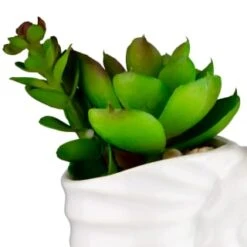 B&M Scandi Shore Small Shell Succulent -Chic Household Items 380110 small shell succulent 2