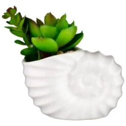 B&M Scandi Shore Small Shell Succulent -Chic Household Items 380110 small shell succulent