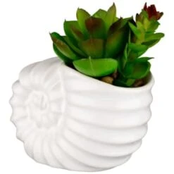 B&M Scandi Shore Small Shell Succulent -Chic Household Items 380110 small shell succulent 3