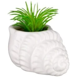 B&M Scandi Shore Small Shell Succulent -Chic Household Items 380110 small shell succulent 6