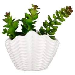 B&M Scandi Shore Small Shell Succulent -Chic Household Items 380110 small shell succulent 7