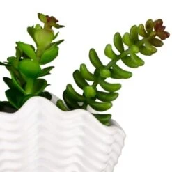 B&M Scandi Shore Small Shell Succulent -Chic Household Items 380110 small shell succulent 8