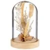 B&M Dried Flowers In Cloche - Natural -Chic Household Items 380163 dried flowers in cloche