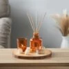 B&M Homestead Diffuser Set 100ml -Chic Household Items 380489 100ml diffuser set