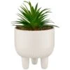 B&M Scandi Shore Succulent In White Pot -Chic Household Items 380696 succulent in white pot