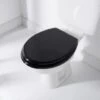 Addis Wooden Toilet Seat - Black -Chic Household Items 383077 addis toilet seat wood black