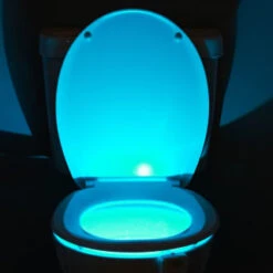 B&M Multicoloured Toilet Night Light 18 B&M Multicoloured Toilet Night Light -Chic Household Items 383097 toilet night light 8