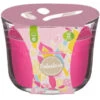 Fabulosa Candle - Pink Lemonade 2 Fabulosa Candle - Pink Lemonade -Chic Household Items 384845 fabulosa candle pink lemonade