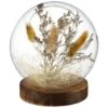B&M Dried Pampas In Sphere -Chic Household Items 387526 dried pampas in sphere