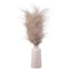 B&M Pampas In White Vase 1 B&M Pampas In White Vase -Chic Household Items 387577 real pampas in white pot