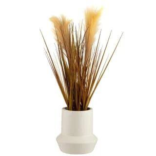 B&M Pampas Grass In Stone Pot - Neutral 3 B&M Pampas Grass In Stone Pot - Neutral