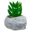 Bloom Mini Animal Succulent - Hedgehog 1 Bloom Mini Animal Succulent - Hedgehog -Chic Household Items 392859 mini animal succulent