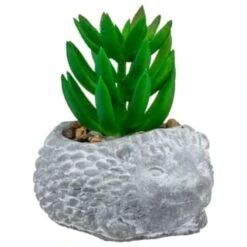 Bloom Mini Animal Succulent - Hedgehog