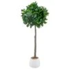 Bloom Premium Bay Tree -Chic Household Items 392873 premium bay tree