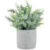 Bloom Eucalyptus In Cement Pot 1 Bloom Eucalyptus In Cement Pot -Chic Household Items 392965 eucalyptus in cement pot
