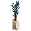B&M Plant In Glass & Wooden Vase -Chic Household Items 394337 plant in glass and wooden vase