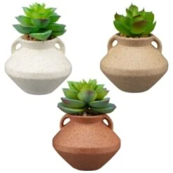 B&M Small Succulent Vase - Orange 7 B&M Small Succulent Vase - Orange -Chic Household Items 394662 small vase succulent group