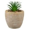 B&M Small Succulent Pot - Stone -Chic Household Items 394663 small succulent stone