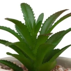 B&M Assorted Embossed Pots 14 B&M Assorted Embossed Pots -Chic Household Items 394664 embossed pot 2