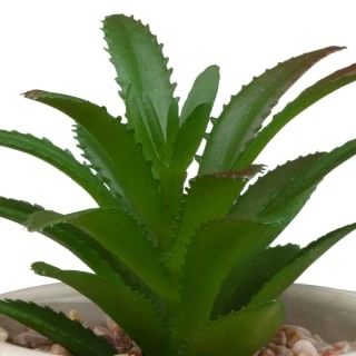 B&M Assorted Embossed Pots 8 B&M Assorted Embossed Pots - Image 6