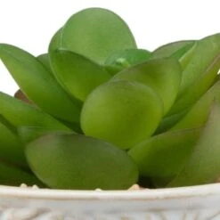 B&M Assorted Embossed Pots 15 B&M Assorted Embossed Pots -Chic Household Items 394664 embossed pot 6