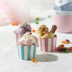 Giles & Posner Ice Cream Maker 0.5L 10 Giles & Posner Ice Cream Maker 0.5L -Chic Household Items 395104 giles and posner 0 5l ice cream maker 3