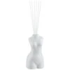 B&M Calm Reflection Reed Diffuser - Vanilla Musk -Chic Household Items 395409 figurine diffuser 3