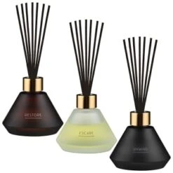 B&M Spa Reed Diffuser 100ml - Unwind -Chic Household Items 395418 395419 395423 100ml spa reed diffuser group 2 1
